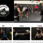<a href='https://www.mma-harz.de' class='miniGalLink' target='_blank'>www.mma-harz.de</a> Konzept, Webdesign, CMS, SEO-Optimierung